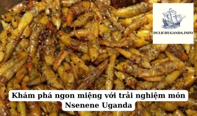 Khám phá ngon miệng với trải nghiệm món Nsenene Uganda