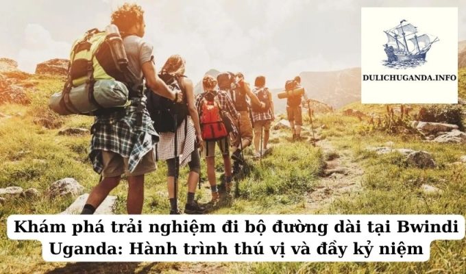 Khám phá trải nghiệm đi bộ đường dài tại Bwindi Uganda: Hành trình thú vị và đầy kỷ niệm