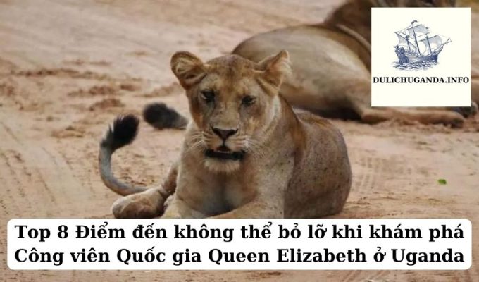 Top 8 Điểm đến không thể bỏ lỡ khi khám phá Công viên Quốc gia Queen Elizabeth ở Uganda