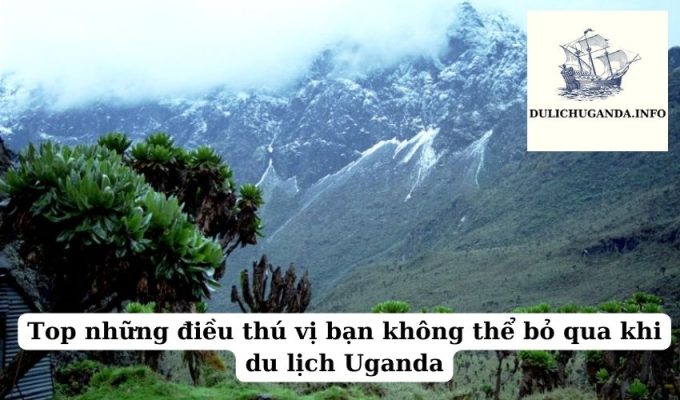 Top những điều thú vị bạn không thể bỏ qua khi du lịch Uganda