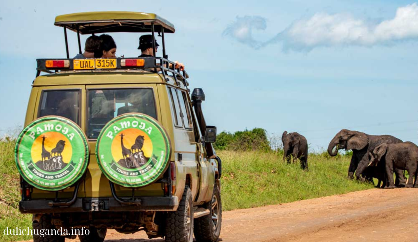 Ultimate Uganda travel guide to ensure an unforgettable journey through the country’s treasures